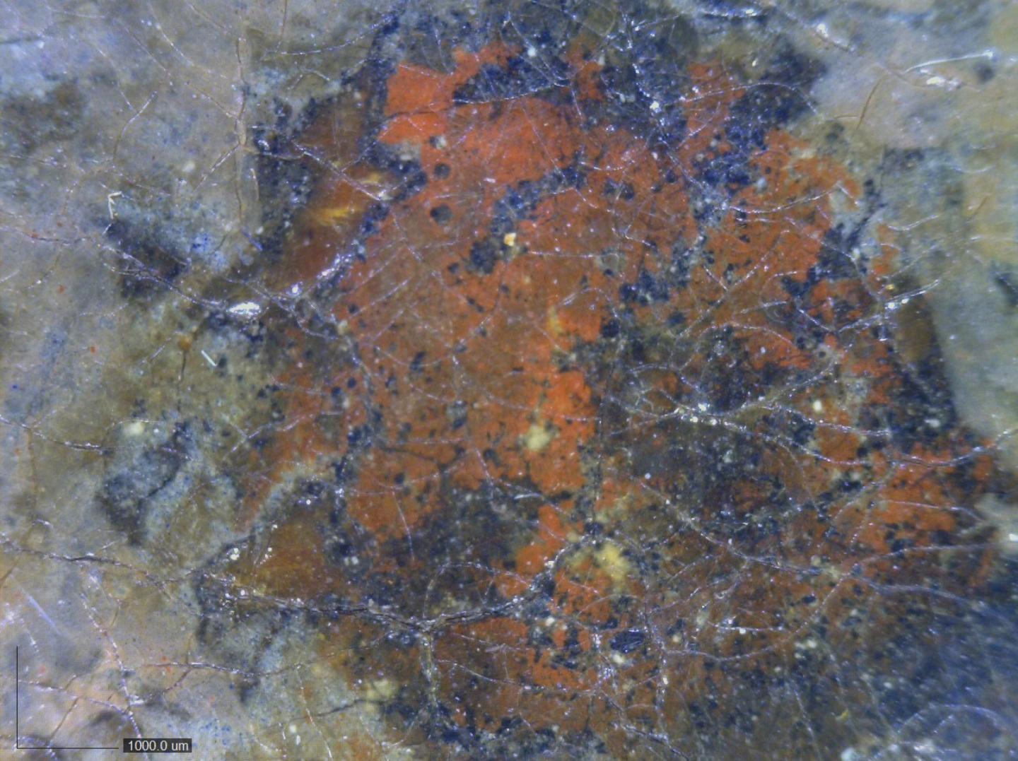 The painting A Royal Visit to the Fleet under a microscope, showing reddish flaking paint